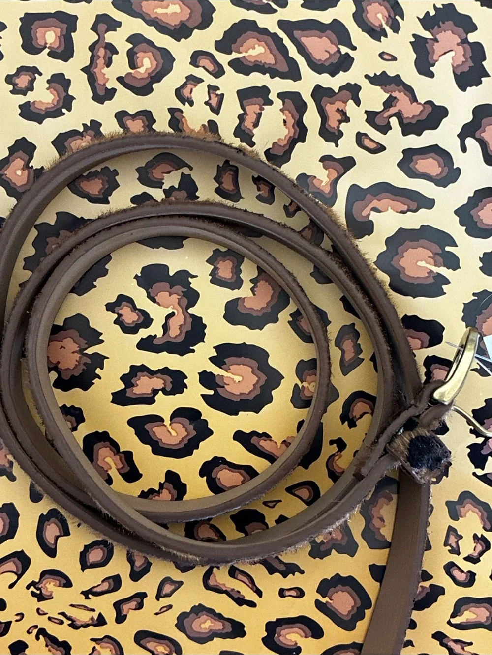 GAP Leopard Print Women's skinny belt Fall animal print calf hair gold buckle S